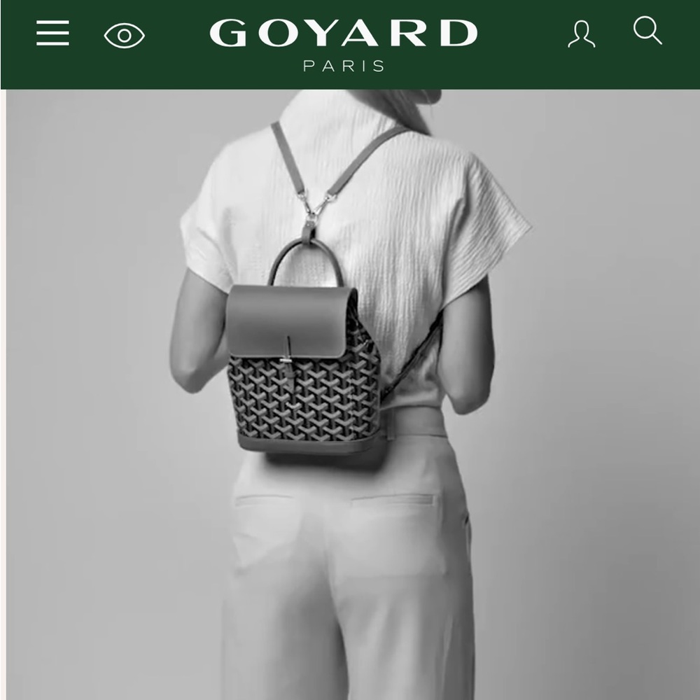 Goyard Alpin Mini backpack - Picture 16 of 17